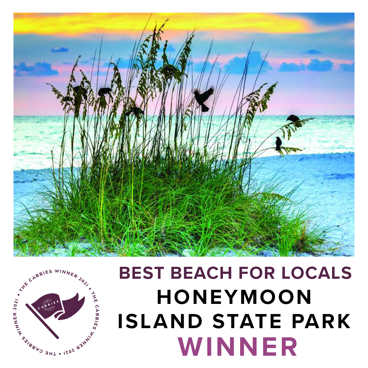 best beach winner - honeymoon island state park