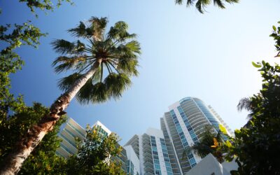 Tips on How to Buy in a Seller’s Market