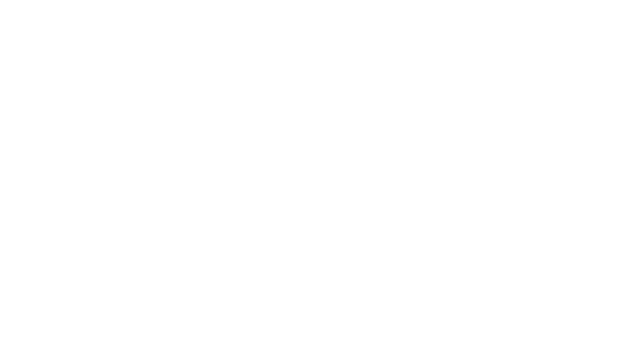 Coastal Engineering Associates